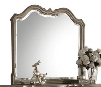 Chelmsford Antique Taupe Finish Mirror