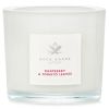 Scented Candle - Raspberry & Tomato Leaves