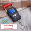 50Kg/5g LCD Digital Display Backlight Portable Hanging Hook Scale Double Accuracy Fishing Travel Mini Electronic Weighing Scale