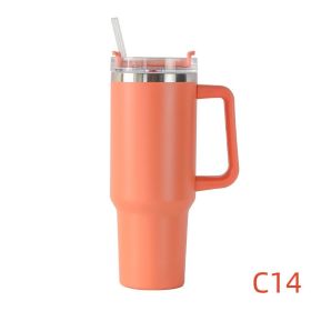 40 oz Stainless Steel Water Bottle with Handle, Lid & Straw (Color: C14, Capacity: 1200ml)