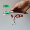 Digital Luggage Scale 50kg x 10g | Portable Travel Hanging Scale